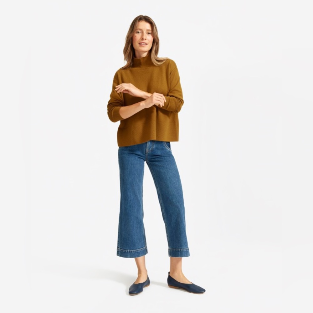 (Like New) Everlane Cashmere Square Turtleneck